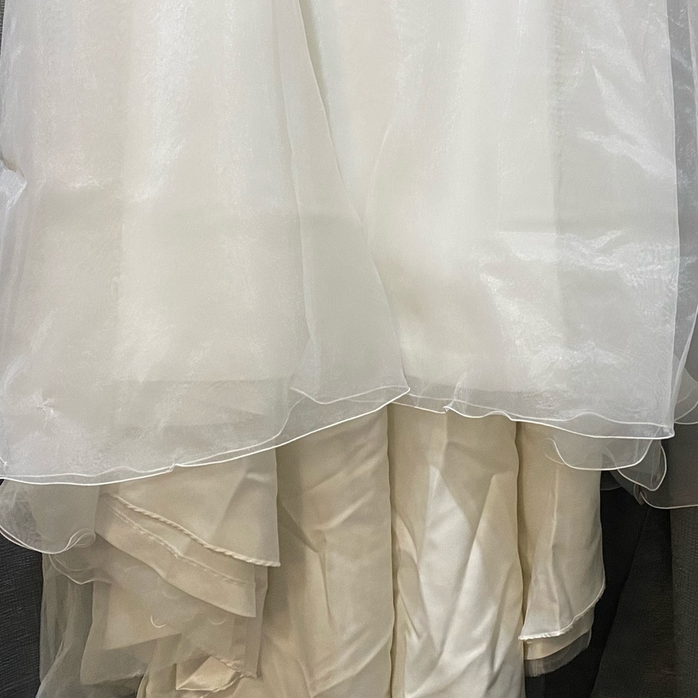 Wedding Dress - Picture 9 of 17
